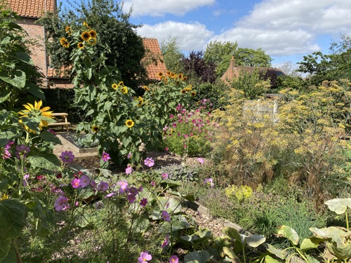 Cropwell community garden in full bloom